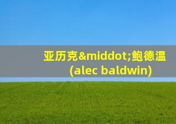 亚历克·鲍德温(alec baldwin)